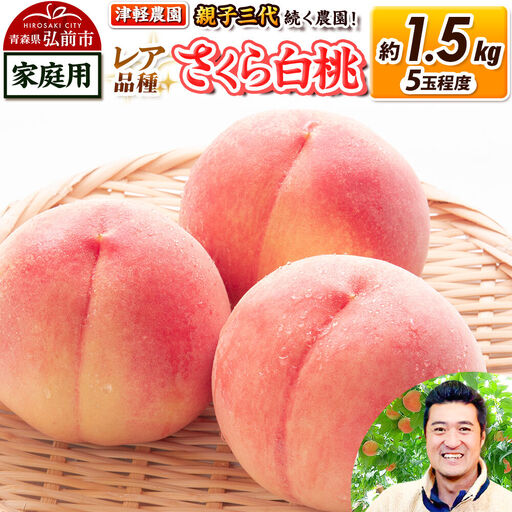 [26年9月発送]桃 約1.5kg(5玉程度) 青森[2026年産 レア品種 さくら白桃]もも 家庭用 くだもの フルーツ 果物 津軽農園 採れたて 農家直送