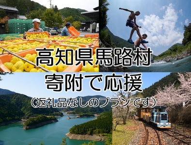 【寄附のみ】 寄附で高知県馬路村を応援（返礼品はございません）