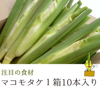 [先行予約]マコモタケ 10本 10月上旬以降発送 季節限定 今治産 森のともだち農園 野菜 [LB00620]