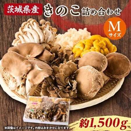 きのこの詰め合わせ　M(約1500g)_野菜  きのこ _【配送不可地域：離島・沖縄県】【1449115】