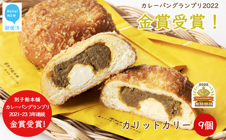 カレーパン グランプリ金賞受賞 カリットカリー 9個(3種×3個) 詰合せ 冷凍 惣菜パン