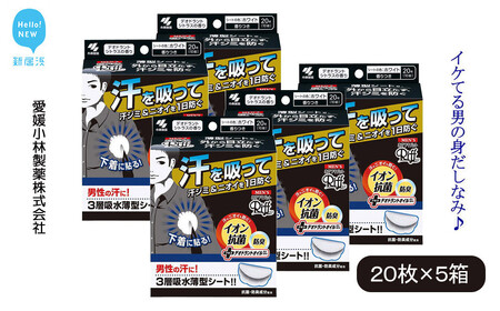 汗脇パッド 男性用 メンズ Riff リフ あせワキパット デオドラントシトラス ホワイト 20枚 (10組)×5箱 合計100枚 [小林製薬]