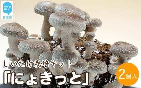 しいたけ栽培キット にょきっと 2個セット