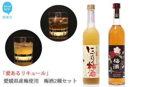 「愛あるリキュール」梅酒500ml×2種セット ひめさくらの梅酒・にごり梅酒 愛媛県産梅使用 [愛媛 近藤酒造]