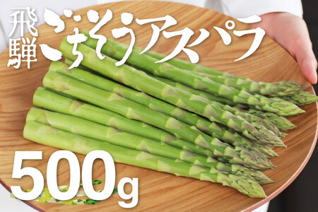 [先行予約 令和8年 2026年発送]柔らか甘いアスパラ M-Lサイズ 500g 水村農園