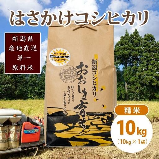 【数量限定】コシヒカリ 大島区産 精米 コシヒカリ 10kg(10kg×1)