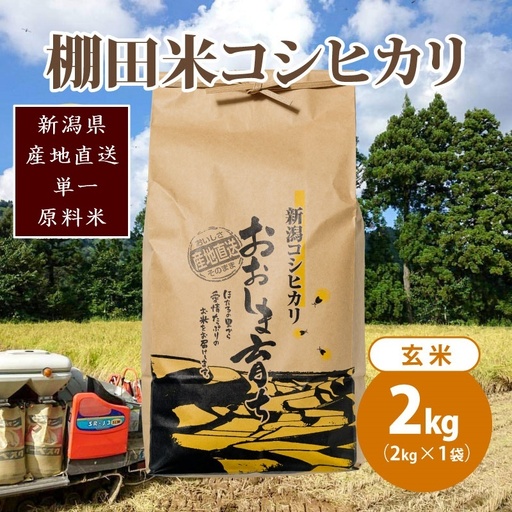 【数量限定】コシヒカリ 大島区産 玄米 コシヒカリ 2kg(2kg×1)