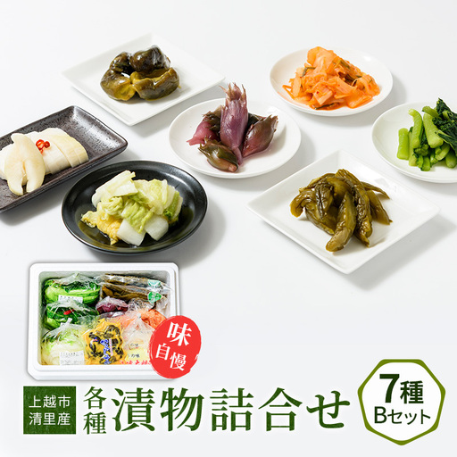 漬物詰合せ Bセット 国産野菜 漬物 おかず お取り寄せ