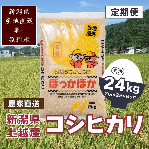 【毎月定期便・全6回】極上の雪国米 コシヒカリ 玄米 4kg コシヒカリ 