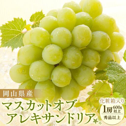 ぶどう 2026年 岡山県産 マスカット オブ アレキサンドリア 1房(600g以上・秀品以上)  化粧箱 入り | 葡萄 マスカット フルーツ 果物 くだもの フレッシュ 国産 岡山 食品 人気 おすすめ 送料無料 ギフト 贈り物 贈答品 