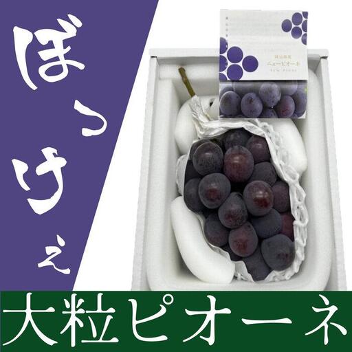 2027年 ぼっけえ大粒 ニュー ピオーネ 1房(800g以上) 化粧箱入り｜  ピオーネ