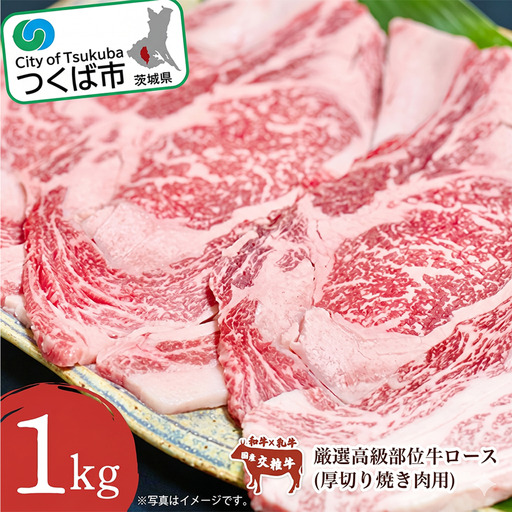 牛肉 厳選高級部位牛ロース 1kg 厚切り焼肉用【牛肉】