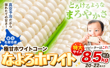 「なよろホワイト」 8.5kg 以上20〜22本 とうもろこし