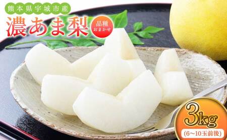 梨 濃あま梨 約3kg 6〜10玉前後 2026年8月中旬から9月下旬発送予定