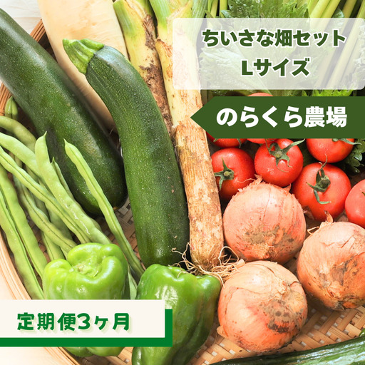 定期便3カ月　ちいさな畑セット（Lサイズ　３～４人前）（NK-T506）