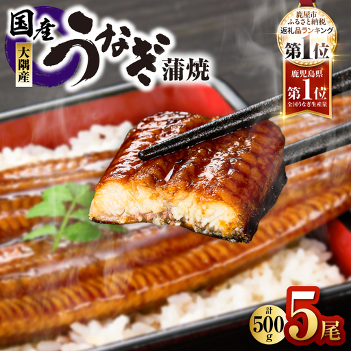 【 土用の丑の日特集 】4001 鹿児島県大隅産 うなぎ蒲焼 5尾（500g） KN007-005-03 うなぎ 鰻 魚 惣菜 総菜