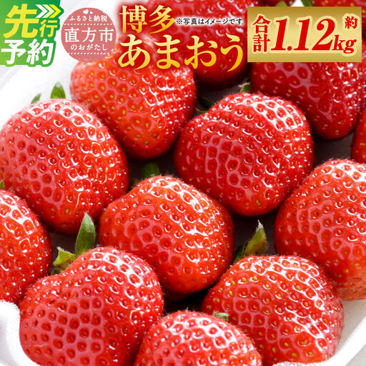 福岡県産 博多 あまおう 約1.12kg（約280g×4パック）【2027年1月下旬～3月下旬発送予定】 ※北海道・沖縄・離島配送不可