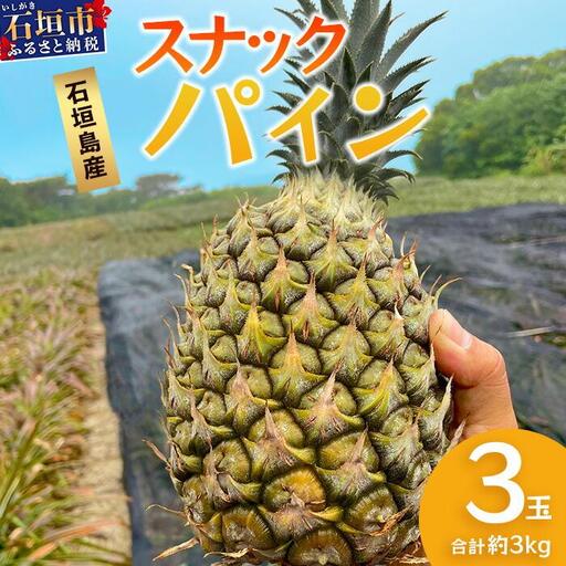 【先行予約】《2027年5月上旬頃より順次発送》石垣島産 スナックパイン (3玉 約3kg) 【 産地直送 沖縄 石垣 パイナップル パイン スナック フルーツ トロピカル 南国 】TP-7-1