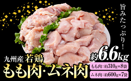 九州産 若鶏もも肉 約2.48kg(約310g×8袋)、若鶏むね肉 約4.2kg(約600g×7袋)合計約6.6kg[30日以内に出荷予定(土日祝除く)]