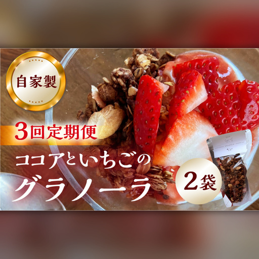【3回定期便】【2026年2月～発送】いちごとココアのグラノーラ2袋 family農園watanabe グラノーラ