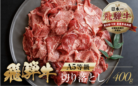 [A5等級] 飛騨牛 切り落とし 400g  [mt402] 飛騨牛 トキノ屋食品
