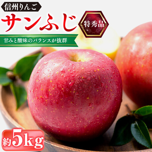 前島農家 信州りんご・サンふじ（特秀品）約5kg（12個～18個） | りんご