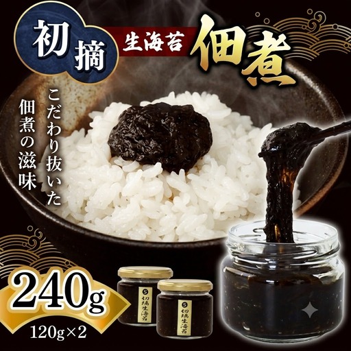初摘 生海苔 佃煮 120g×2 