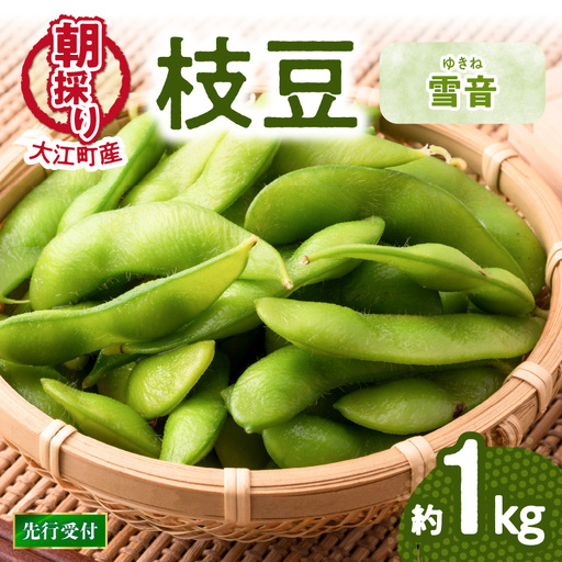 《先行受付》枝豆（雪音）約1kg【2026年8月末より順次発送予定】 022-004