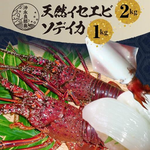 沖永良部島 天然 イセエビ 2kg ・ ソデイカ 1kg C010-016 魚介類 冷凍 海老 エビ 伊勢海老 烏賊 イカ