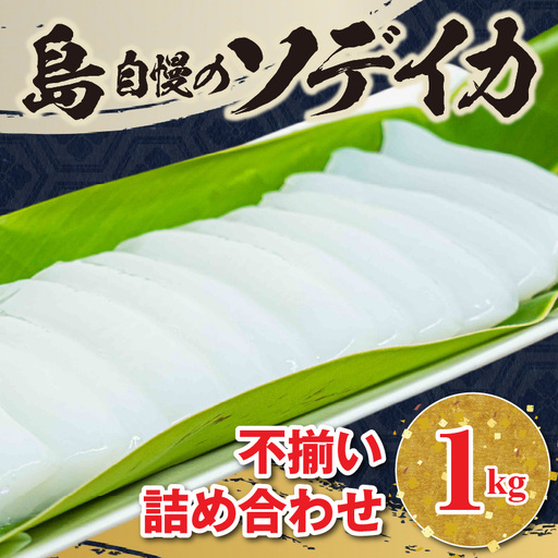 沖永良部島 イカ の 王様 ！ ソデイカ 1kg C010-023 魚介類 冷凍 烏賊