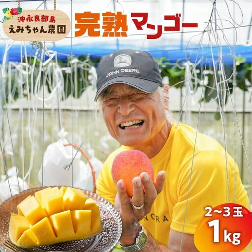 えみちゃん農園 の 完熟 マンゴー 1キロ （ 2～3個入り ） C008-006 果物 フルーツ
