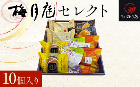 梅月庭セレクト 10個入り