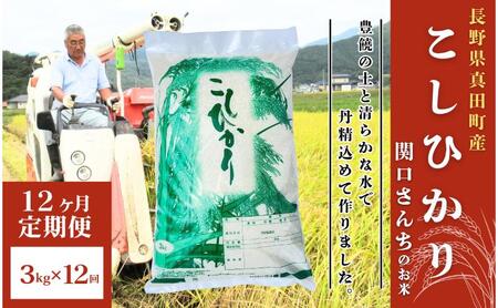米 令和7年産 定期便 12ヵ月 コシヒカリ 関口さんちのお米 3kg お米 白米 ブランド米 定期 12回