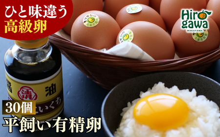 平飼い!高級有精卵 30個入り(Lサイズ) / 玉子 たまご 高級 平飼い 贈答 [ymg609-p-30A]