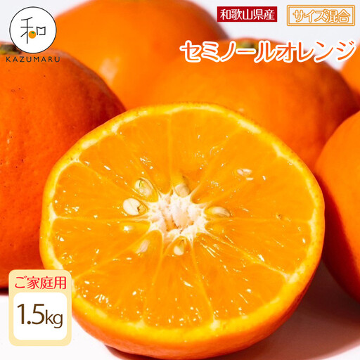 家庭用 森本農園の手選別 セミノールオレンジ 1.5kg 和歌山県産 サイズ混合 [北海道・沖縄・離島配送不可][2027年4月中旬から順次発送][RN26]