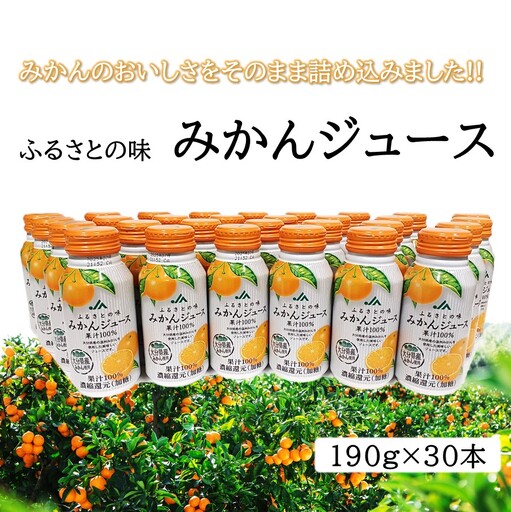 ふるさとの味 みかんジュース（190g×30本）_2403R