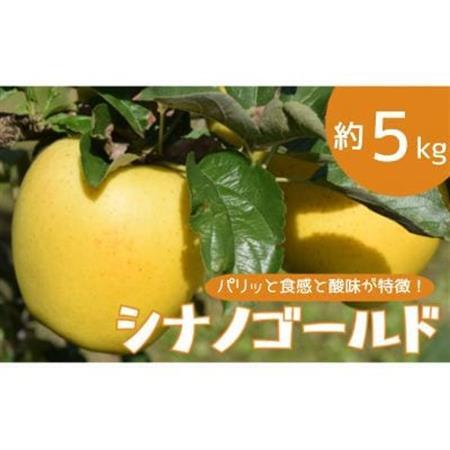 りんご シナノゴールド 約5kg【1504881】