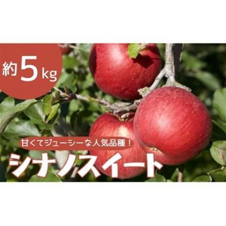 りんご シナノスイート 約5kg【1504882】