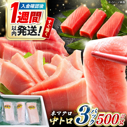[1週間以内発送]対馬産 本マグロ 中トロ 500g [WAH018] 中とろ まぐろ スピード発送 最速発送 最短発送