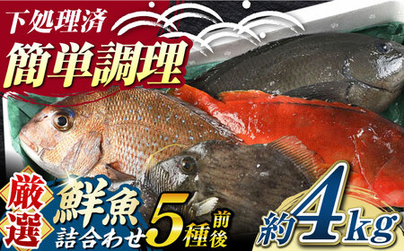 【期間限定！】対馬産 鮮魚 詰め合わせ 5種前後 4.0kg 新鮮 天然 直送 セット [WAH022]