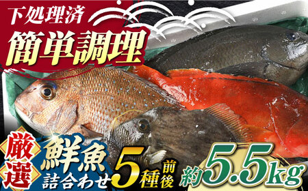 【期間限定！】対馬産 鮮魚 詰め合わせ 5種前後 5.5kg 新鮮 天然 直送 セット [WAH023]