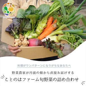 ことのはファーム旬野菜の詰め合わせ