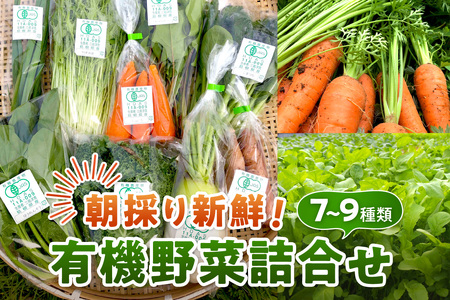 朝採り新鮮!有機野菜セット詰合せ(7〜9種類) 採れたて 産地直送 葉物 有機JAS認証 野菜セット 旬の野菜 野菜 [139_1918]