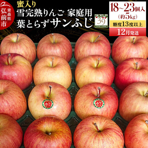 りんご 葉とらずサンふじ【家庭用】約5kg（18～23個程度）蜜入り