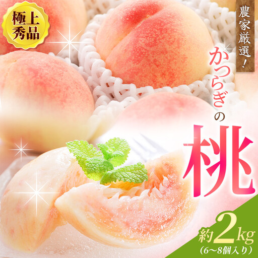 【先行予約】【厳選】あふれる果汁で口いっぱい！ 和歌山県産 桃 約2kg（6個~8個）【2027年6月20日頃～順次発送予定】（お届け日指定不可）/  桃 もも モモ フルーツ 果物 くだもの 白鳳 なつっこ 白桃 川中島白桃 旬 人気 産地直送 甘い 【kgr001B】