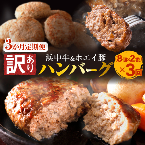 ＜全3回＞ 浜中牛とホエイ豚のハンバーグ定期便(計48個) ハンバーグ_H0019-103