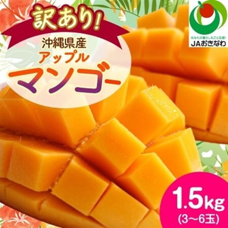 【2027年6月から順次発送・訳あり】アップルマンゴー1.5kg(3～6玉)【配送不可地域：離島】【1494040】
