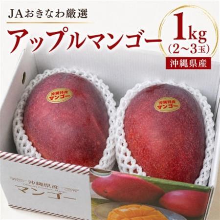【2027年7月から順次発送・化粧箱】JAおきなわ厳選のアップルマンゴー1kg(2～3玉)【配送不可地域：離島】【1494042】