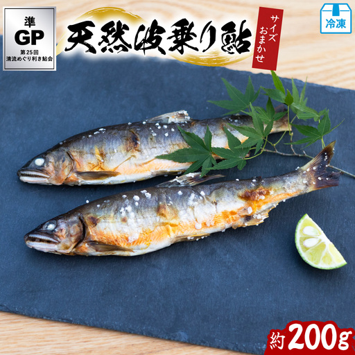 天然波乗り鮎 約200g 2～4尾 鮎 天然 約200g あゆ アユ 天然鮎 清流 海部川 川魚 冷凍