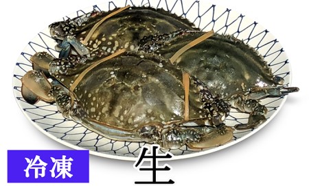 ワタリガニ わたりがに 訳あり 冷凍 生 3～5個 宮城県亘理町